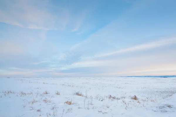 Besneeuwde Prairie — Stockfoto