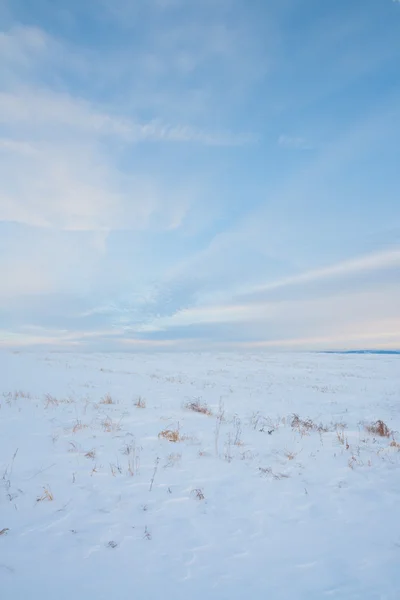 Snowy Portrait Prairie Landscape — Stock Photo, Image
