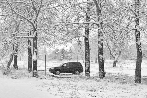 Самотній позашляховик в снігова буря — стокове фото