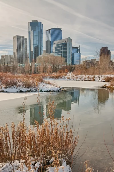 Calgary City in the Winter — Stock Photo, Image