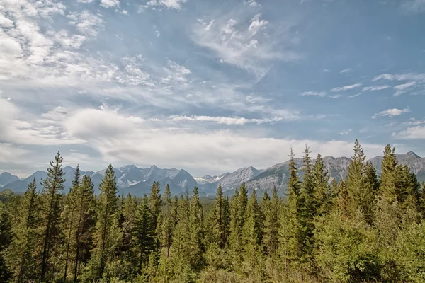 Canadese Rocky Mountain Landschap — Stockfoto