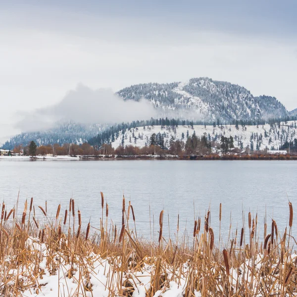 Hiver sur le lac Wood — Photo