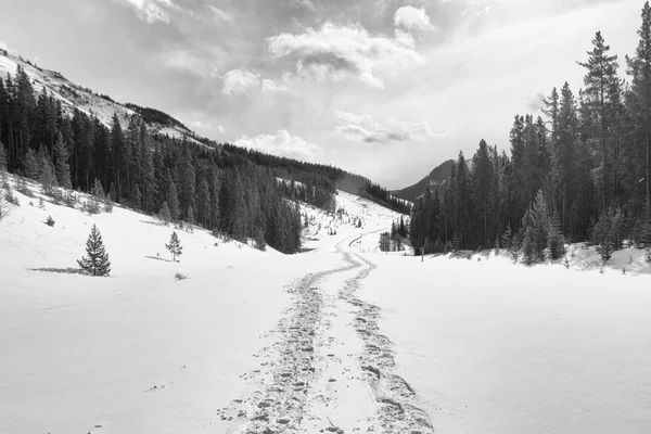 Με χιονοπέδιλα διαδρομές στα βουνά — Φωτογραφία Αρχείου