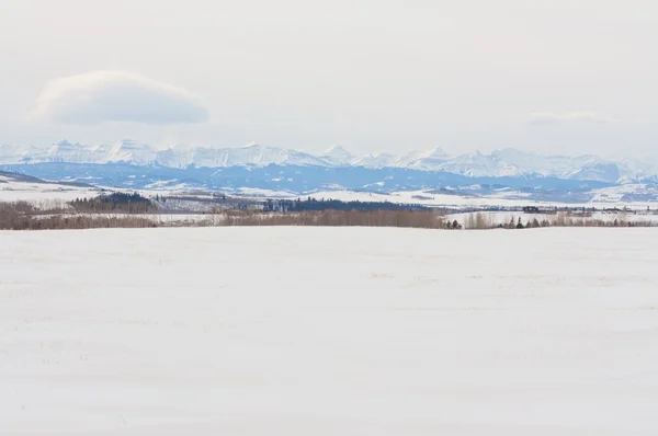 Praire recouvert de neige et Footihils — Photo