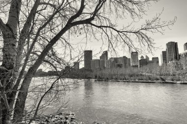 Tek renkli Calgary Cityscape