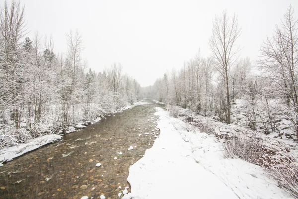 Creek τοπίο το χειμώνα — Φωτογραφία Αρχείου