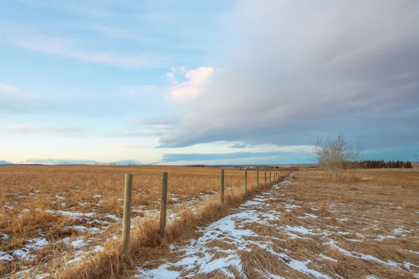 Praire Fence Landscape in Winter — Stock Photo, Image