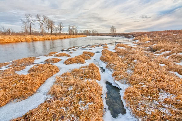 Texturerat vinterlandskap av Bow River, Calgary — Stockfoto