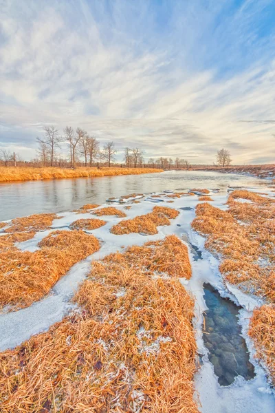 Inverno no Rio Bow, Calgary — Fotografia de Stock