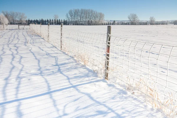 Linha de vedação Paisagem na neve — Fotografia de Stock