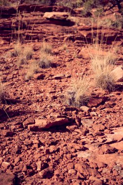 Kayalık Sedona zemin