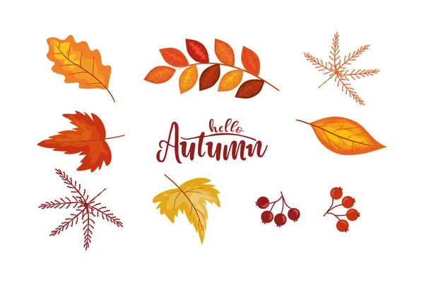 Autumn leaves and elements collection in flat style. Different leaves, berries — Stock Vector