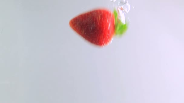 Strawberries Falling in Water on White Background in Slow Motion — Stock Video