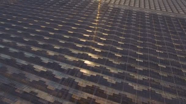 Luchtfoto van de zonsondergang landbouw kassen — Stockvideo