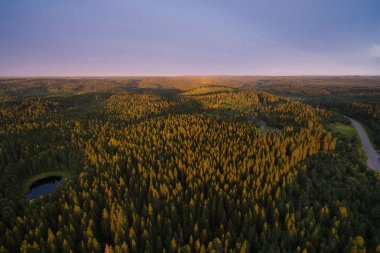 Orman yükseklikten günbatımı zamanında görüntülemek