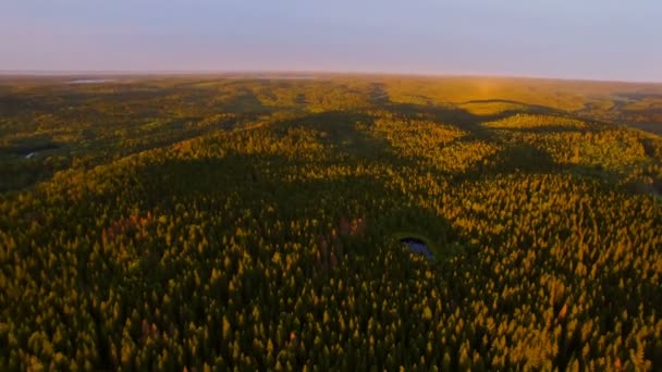 Utsikt från en höjd av skog i solnedgång — Stockvideo