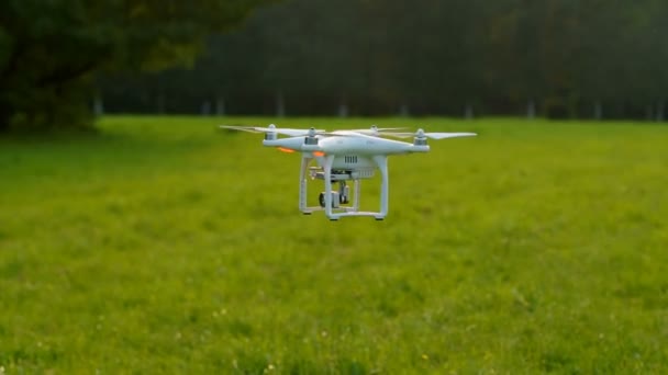 RC quadcopter despega — Vídeos de Stock