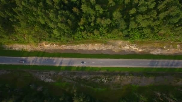 Flygfoto över bil som kör på en väg i skogen — Stockvideo