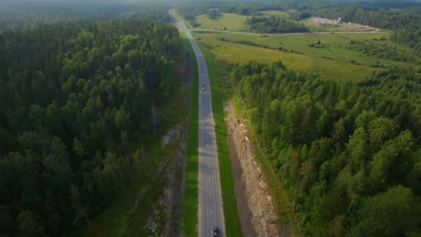 A légi felvétel a autóval egy út az erdőben — Stock videók