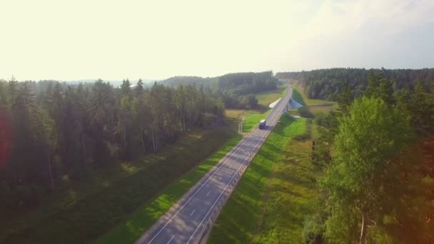 Mooie luchtfoto van de truck die op de weg komt in het bos. — Stockvideo