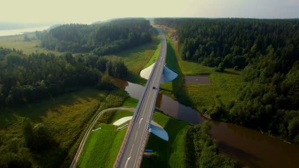 Luchtfoto van auto's die over de brug in het bos gaan — Stockvideo