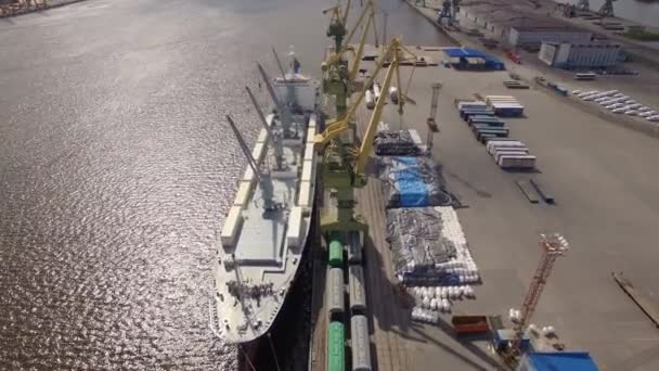 Duży port St.-Petersburg, widok z lotu ptaka — Wideo stockowe