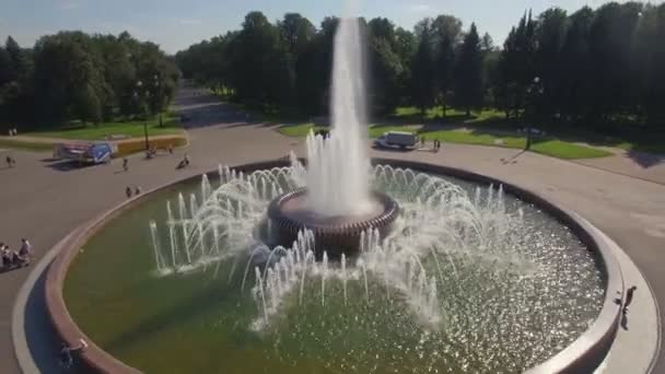 Aerial view of the fountain in the Park — Stock Video