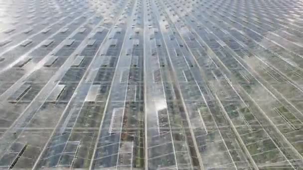 Luchtfoto van agrarische Serres — Stockvideo
