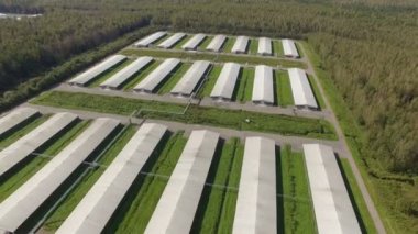 Endüstriyel tavuk evin havadan görünümü