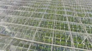 Tarım seralarda havadan görünümü