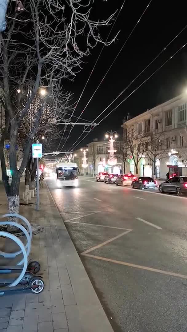 Sébastopol, Russie. 25.12.2020. trolleybus traverse la ville du soir. Vidéo verticale — Video