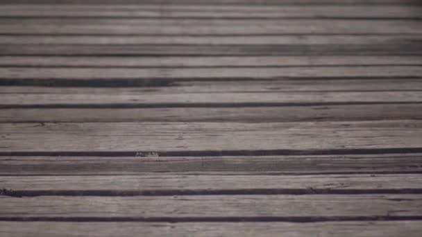 Wooden long dock on the water. — Stok video