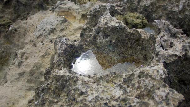 petite piscine entre les rochers contre un ciel gris .