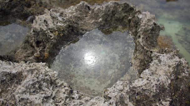 Pequeña piscina entre las rocas contra un cielo gris . — Vídeo de stock