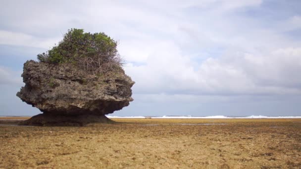 Roca con arbustos sobre un fondo de olas oceánicas — Vídeos de Stock