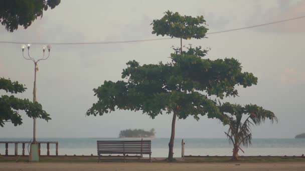 带树木和长椅的长廊，有海洋背景 — 图库视频影像