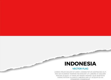 Endonezya bayrağı. Sivri uçlu düzensizliklerle Saydam Arkaplanda Yaratıcı Yırtık Kağıt Kenar Efekti. Gerçekçi gölgeleri olan üç boyutlu bir görüntü. Sanki altında beyaz bir yüzey ortaya çıkarmak için yırtılmış gibi.