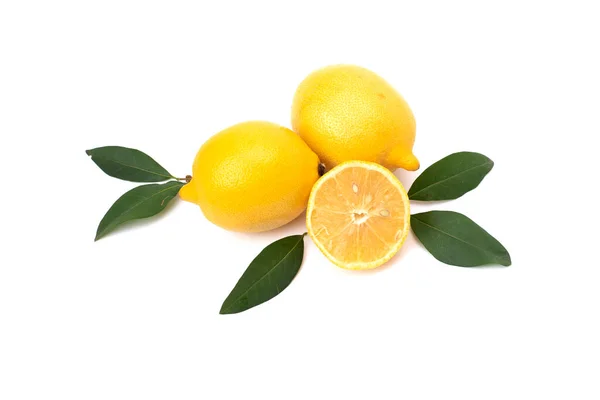 Lemon Limone Fresco Isolato Bianco Limone Taglio Limoni Freschi Maturi — Foto Stock