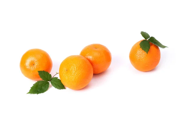Група Соковитих Апельсинових Мандаринів Зеленню Білому Тлі — стокове фото
