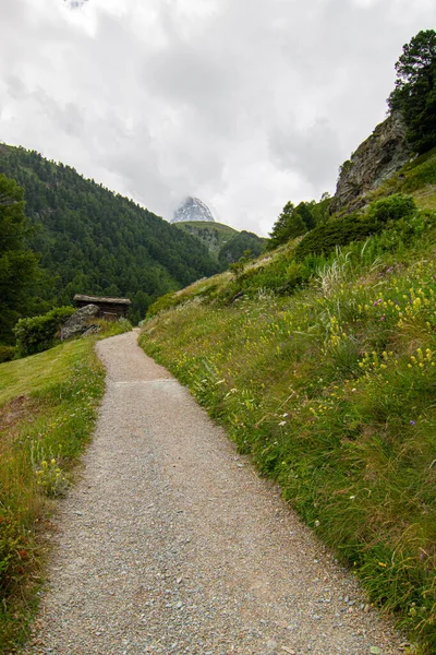 Zermatt Way Matterhorn Swiss Alps Green Pine Tree Forest Village Royalty Free Stock Photos