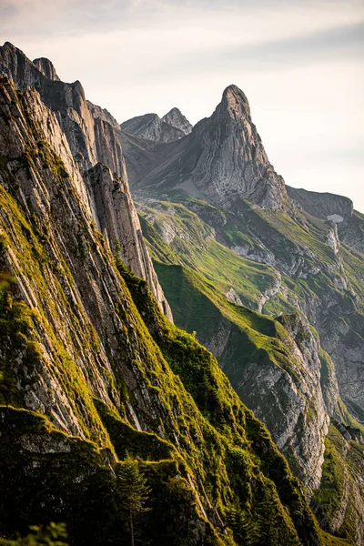 Γκρο Πλαν Άποψη Του Ελβετικού Βουνού Άλπεις Ελβετία Καλοκαιρινή Πεζοπορία — Φωτογραφία Αρχείου