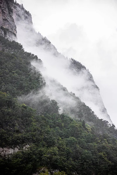 Gyönyörű Ködös Táj Hegyekben Fák Svájci Hegyekben Eső Után — Stock Fotó