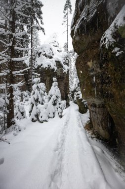 Kışın Kum Taşı 'ndaki patikanın manzaralı ayrıntıları - Adrspach, Çek Cumhuriyeti