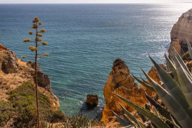 Okyanus manzaralı sahil, Algarve bölgesi, Portekiz