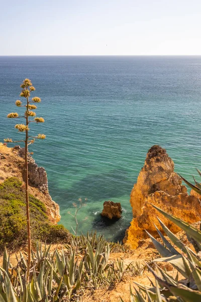 Une vue sur l'océan à la plage, région de l'Algarve, Portugal — Photo