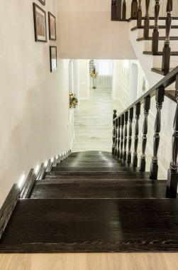 Modern bir ev merdiveninin ve salonun fotoğrafı.