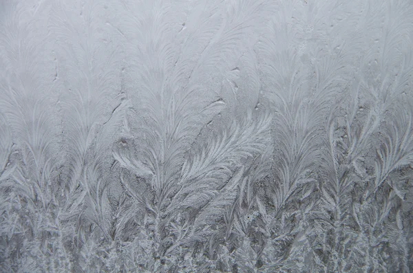Frozen window — Stock Photo, Image