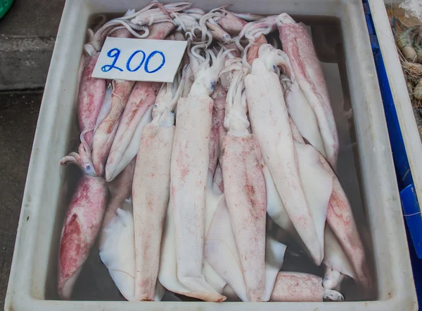 Färsk bläckfisk (bläckfisk) på fiskmarknad. — Stockfoto