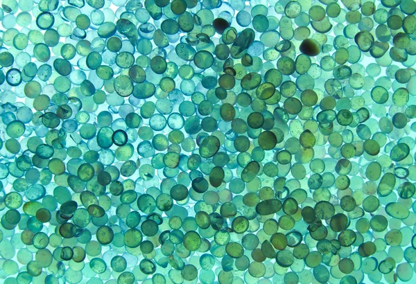 Yakın çekim silis jeli 