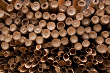 Bambu duvar.